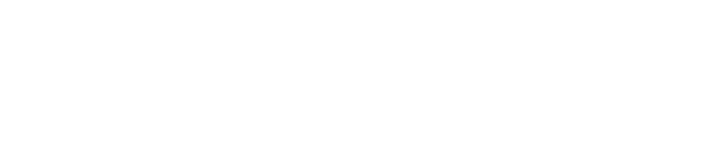 PSA Security Logo