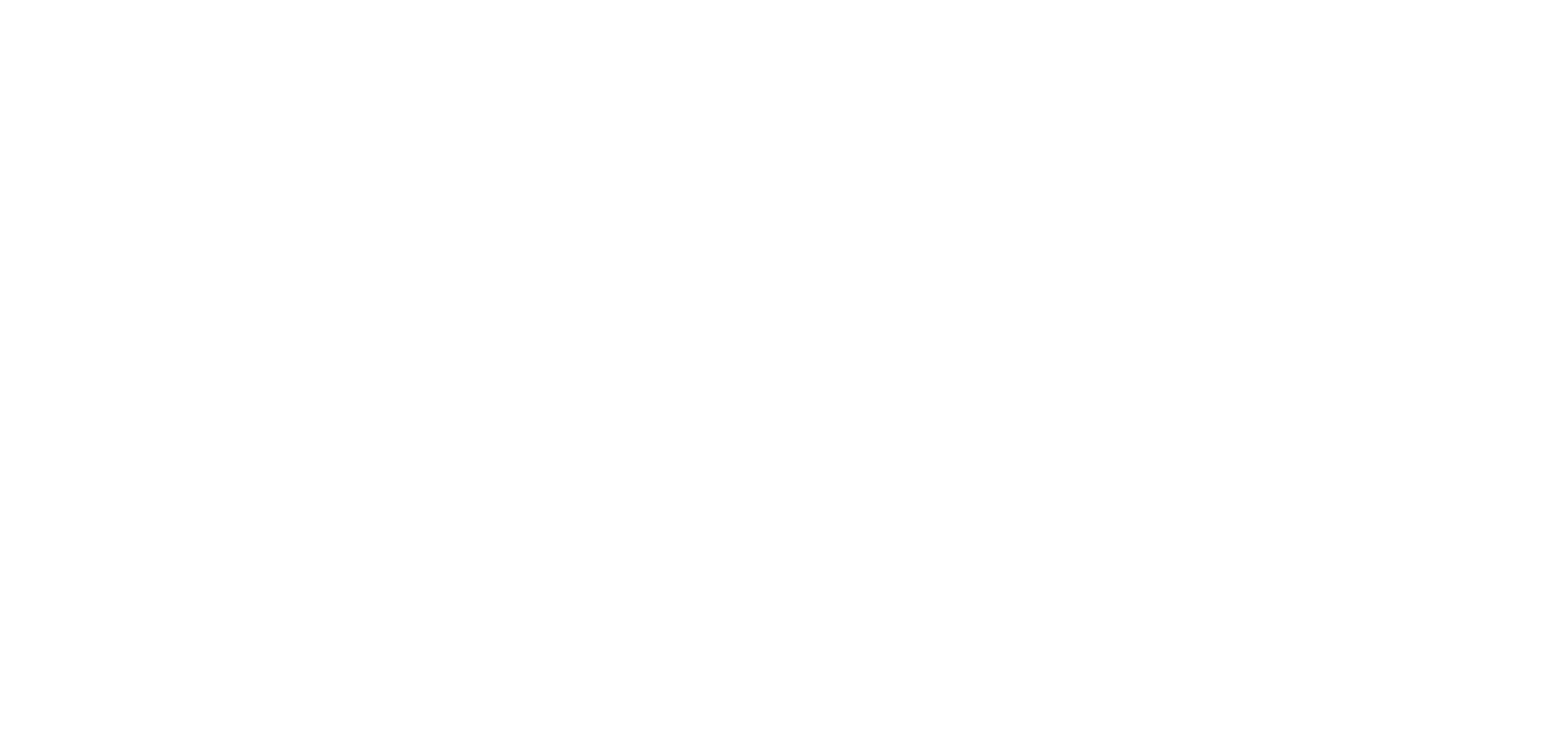 Risk Strategies