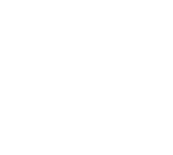 TNA Logo 