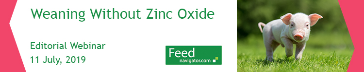 Weaning without Zinc Oxide