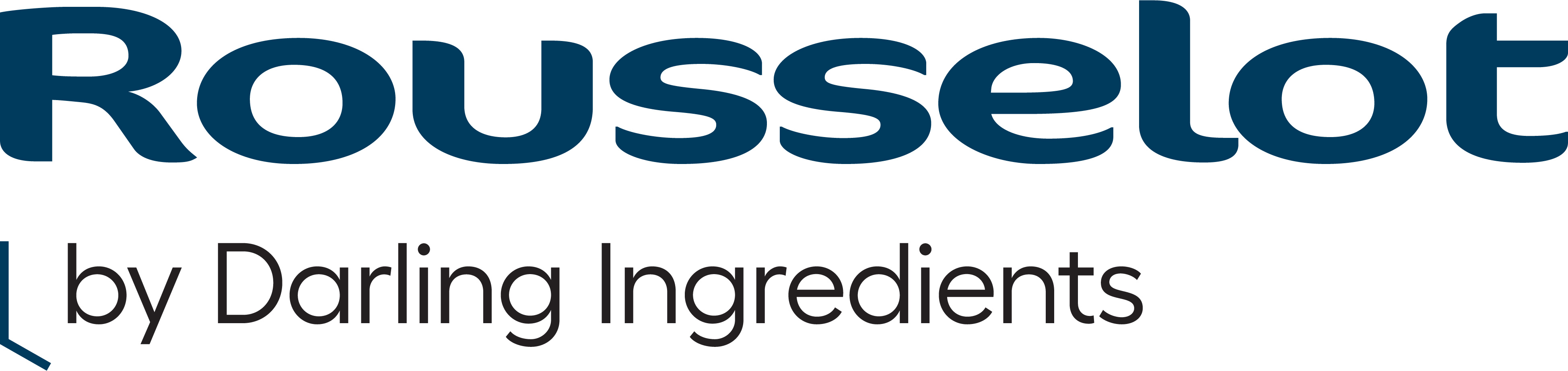 Sponsor Image