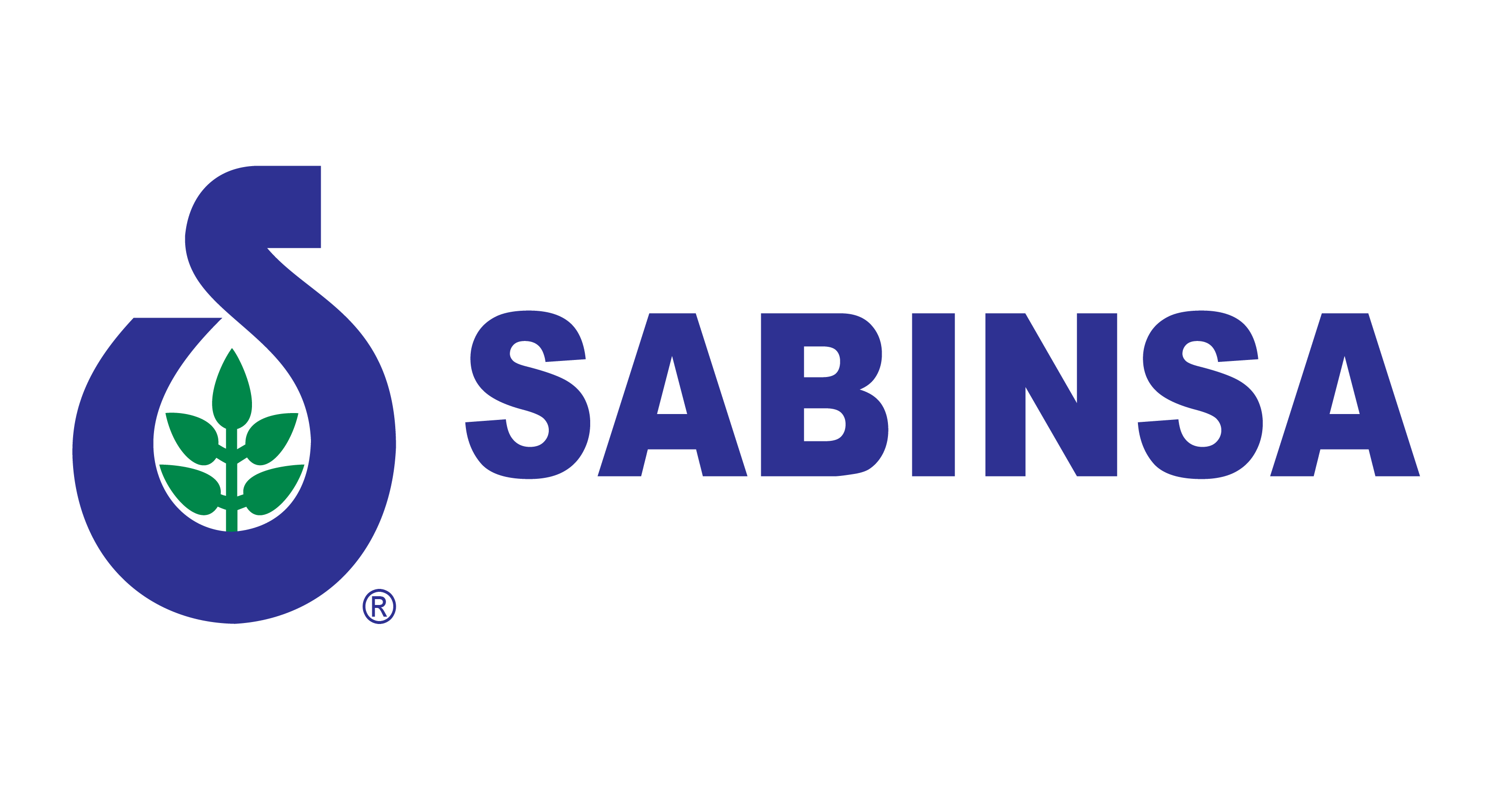 Sponsor Image