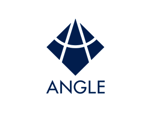 ANGLE plc Logo