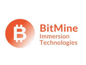 BitMine Immersion Technologies Inc. Logo