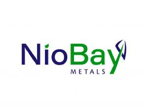 NioBay Metals Inc. Logo