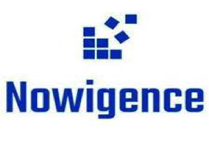 Nowigence Inc. Logo
